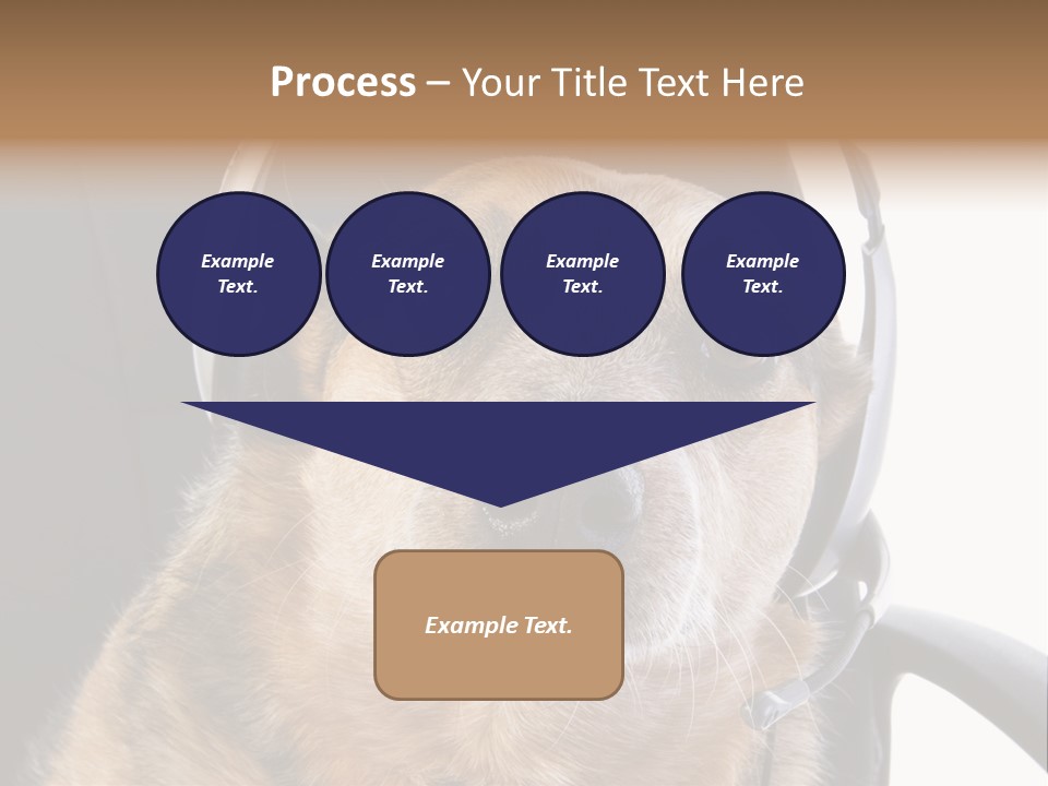 Puppy Domestic Background PowerPoint Template