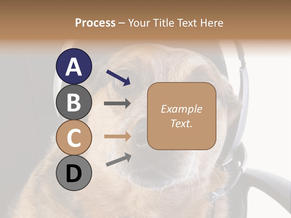 Puppy Domestic Background PowerPoint Template