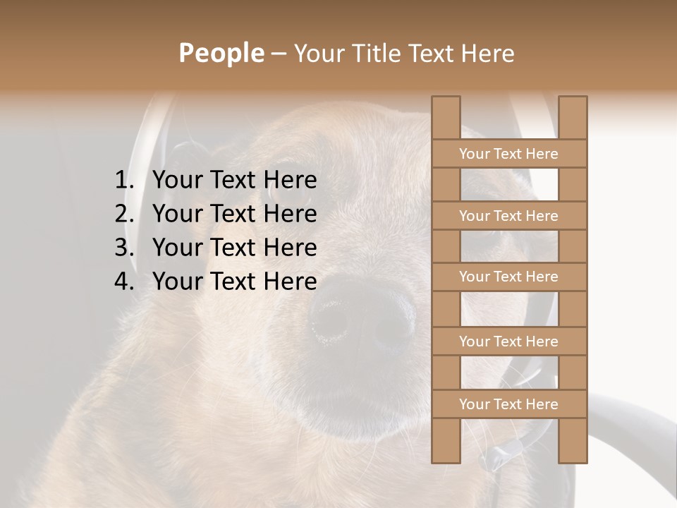 Puppy Domestic Background PowerPoint Template
