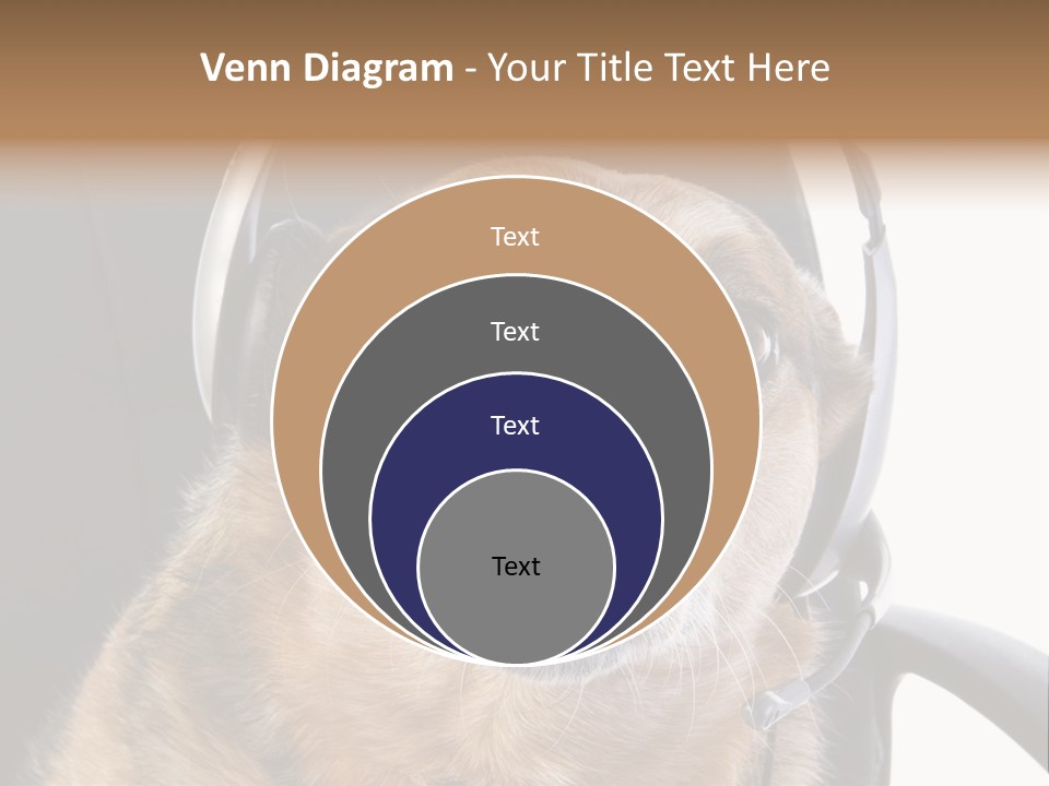 Puppy Domestic Background PowerPoint Template