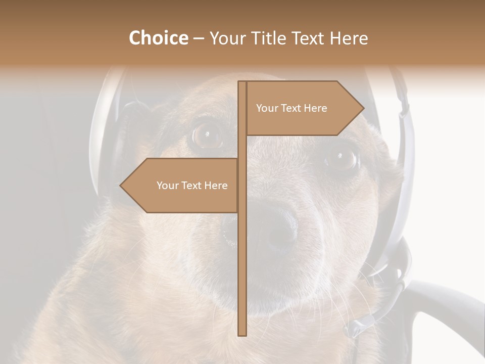 Puppy Domestic Background PowerPoint Template