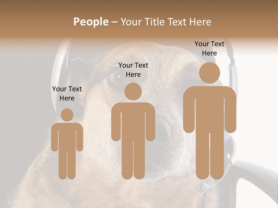 Puppy Domestic Background PowerPoint Template