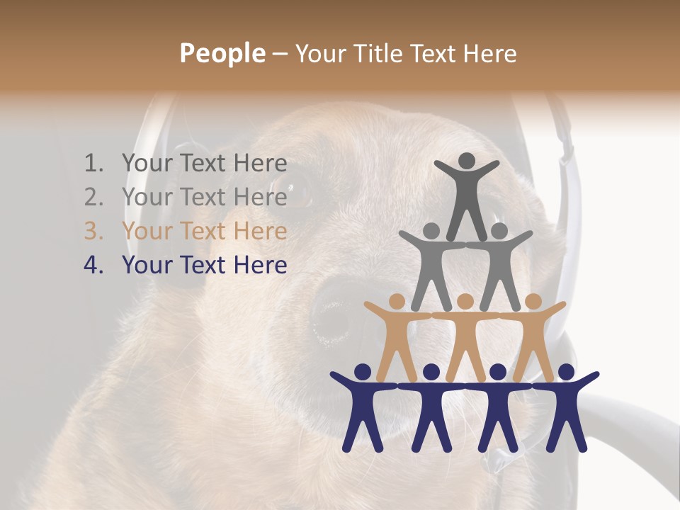 Puppy Domestic Background PowerPoint Template