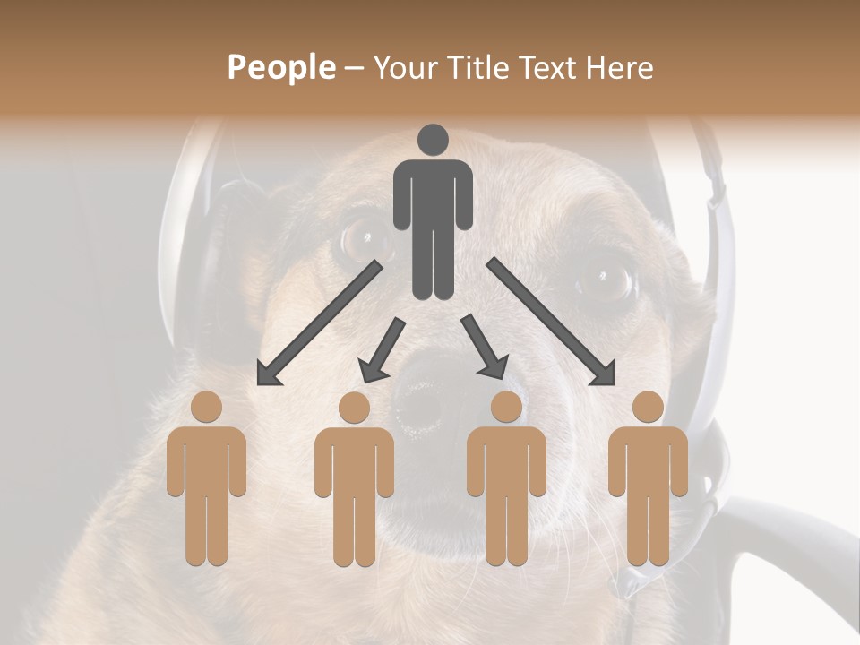 Puppy Domestic Background PowerPoint Template