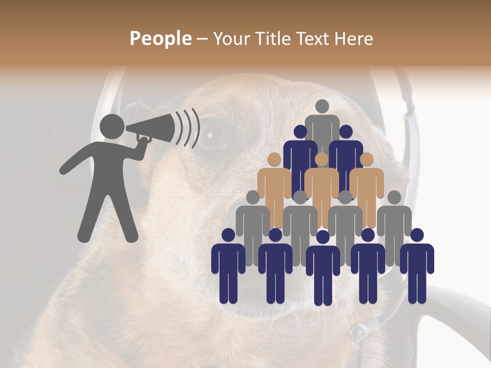 Puppy Domestic Background PowerPoint Template