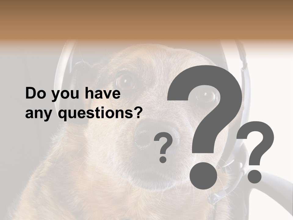 Puppy Domestic Background PowerPoint Template