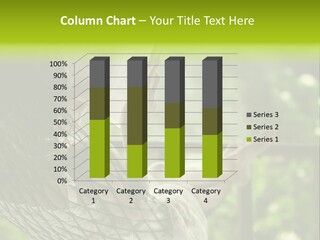 Hammock Comfortable Rest PowerPoint Template