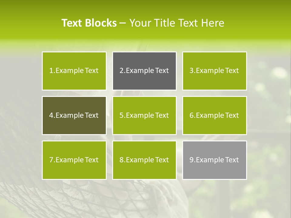 Hammock Comfortable Rest PowerPoint Template