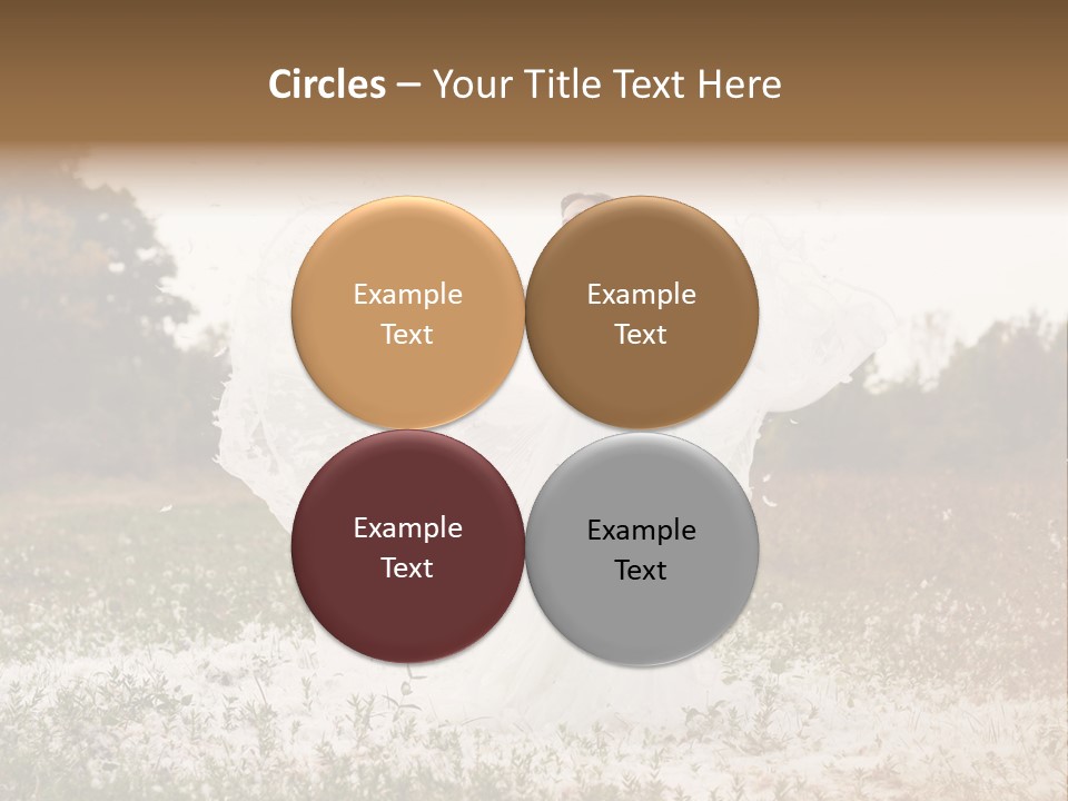 Inlove Fairy Tale Look Youth PowerPoint Template