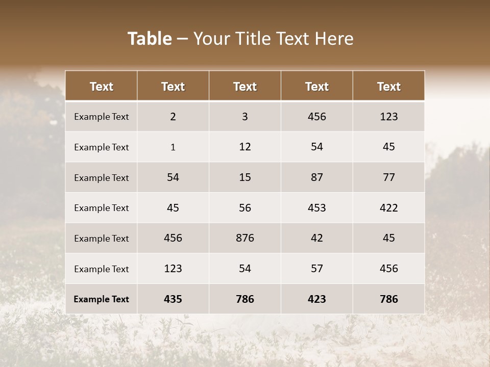 Inlove Fairy Tale Look Youth PowerPoint Template