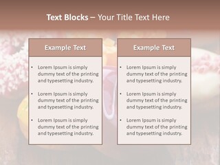 Chocolate Cake Assorted PowerPoint Template