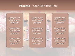 Chocolate Cake Assorted PowerPoint Template