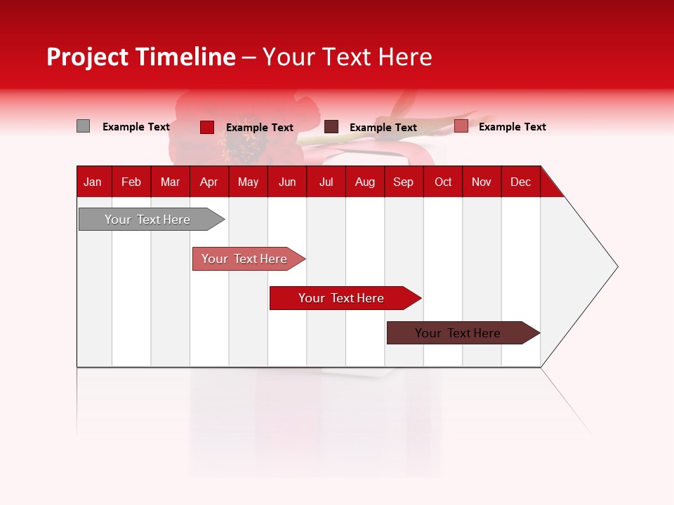 Tag Photography Stem PowerPoint Template