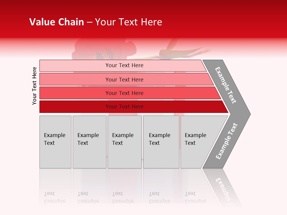 Tag Photography Stem PowerPoint Template