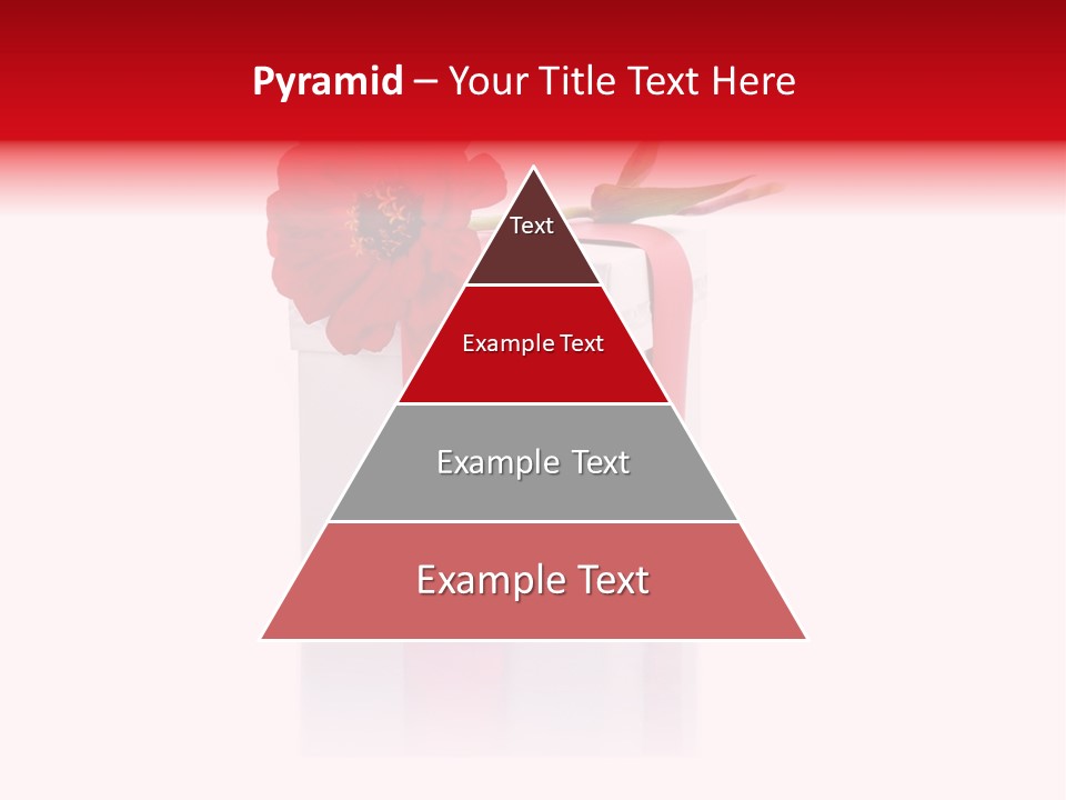 Tag Photography Stem PowerPoint Template