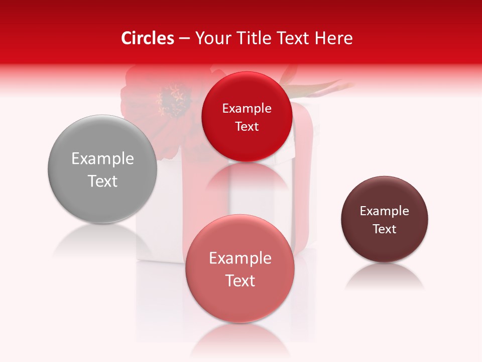 Tag Photography Stem PowerPoint Template