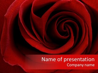 Detail Aromatherapy Scent PowerPoint Template