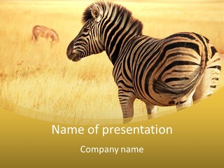 Dawn South Savanna PowerPoint Template