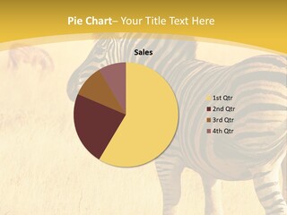 Dawn South Savanna PowerPoint Template