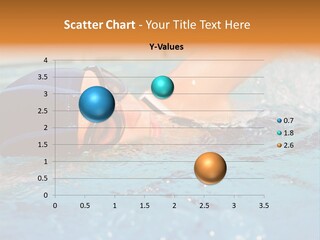 Pool Splashing Glasses PowerPoint Template