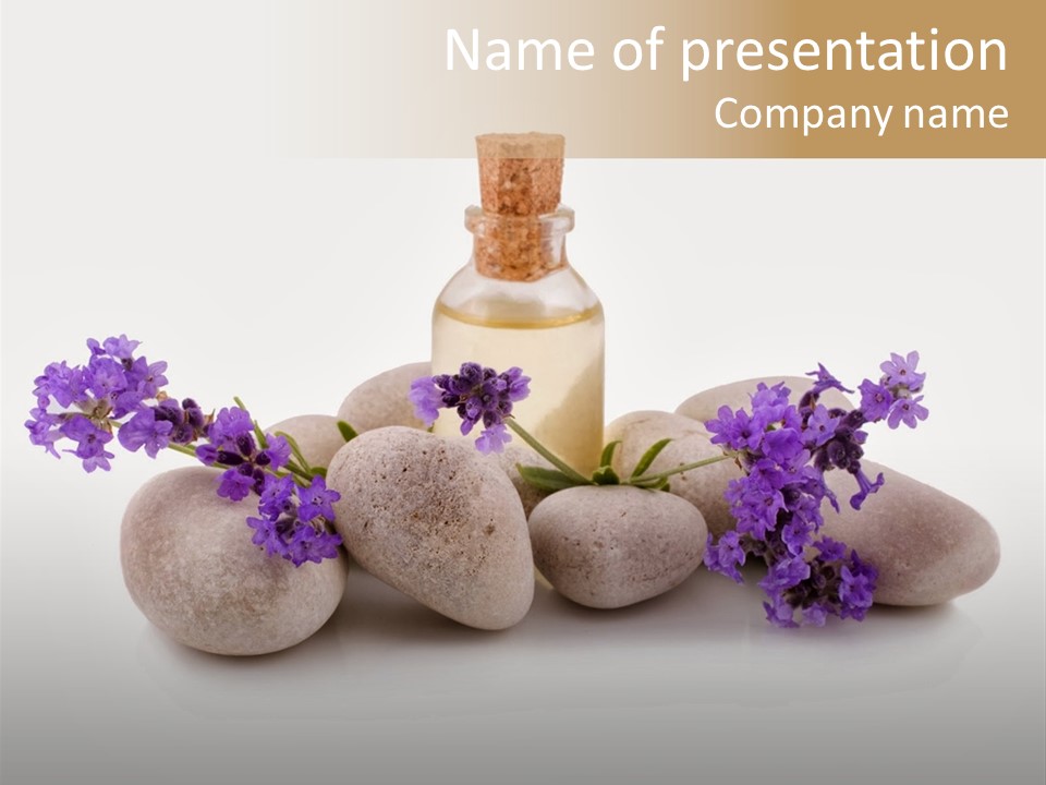 Closeup Beauty Object PowerPoint Template