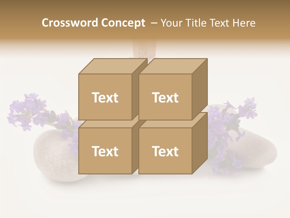 Closeup Beauty Object PowerPoint Template