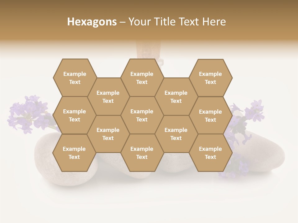 Closeup Beauty Object PowerPoint Template