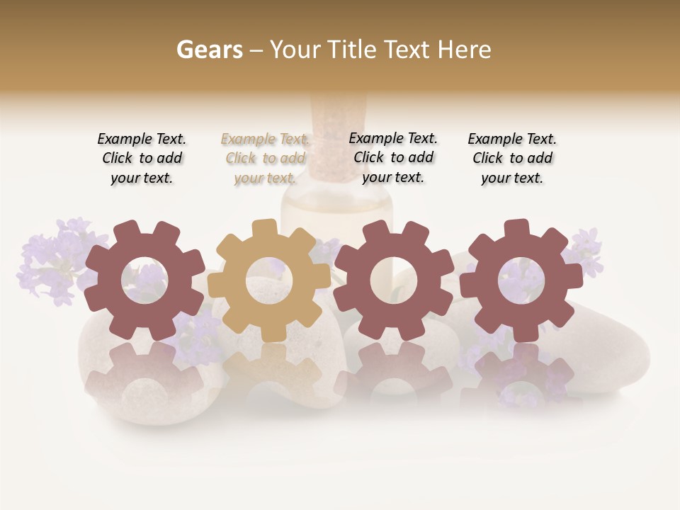 Closeup Beauty Object PowerPoint Template