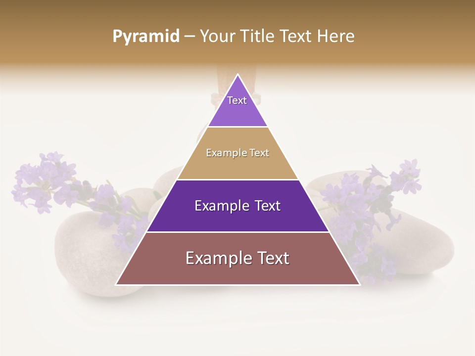 Closeup Beauty Object PowerPoint Template