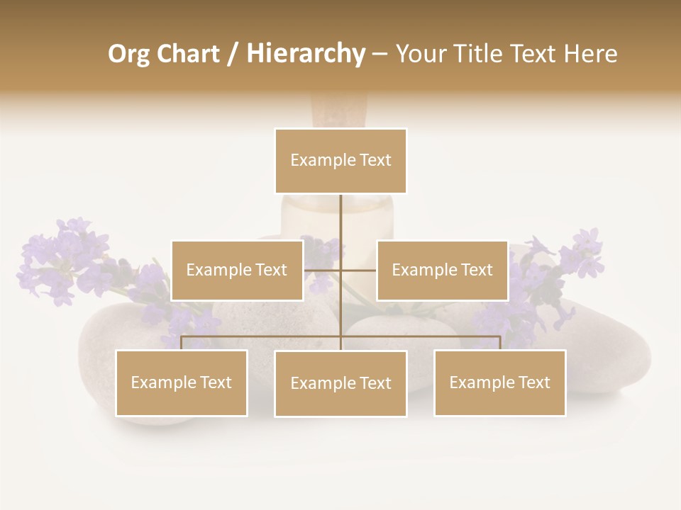 Closeup Beauty Object PowerPoint Template