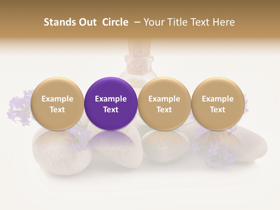 Closeup Beauty Object PowerPoint Template