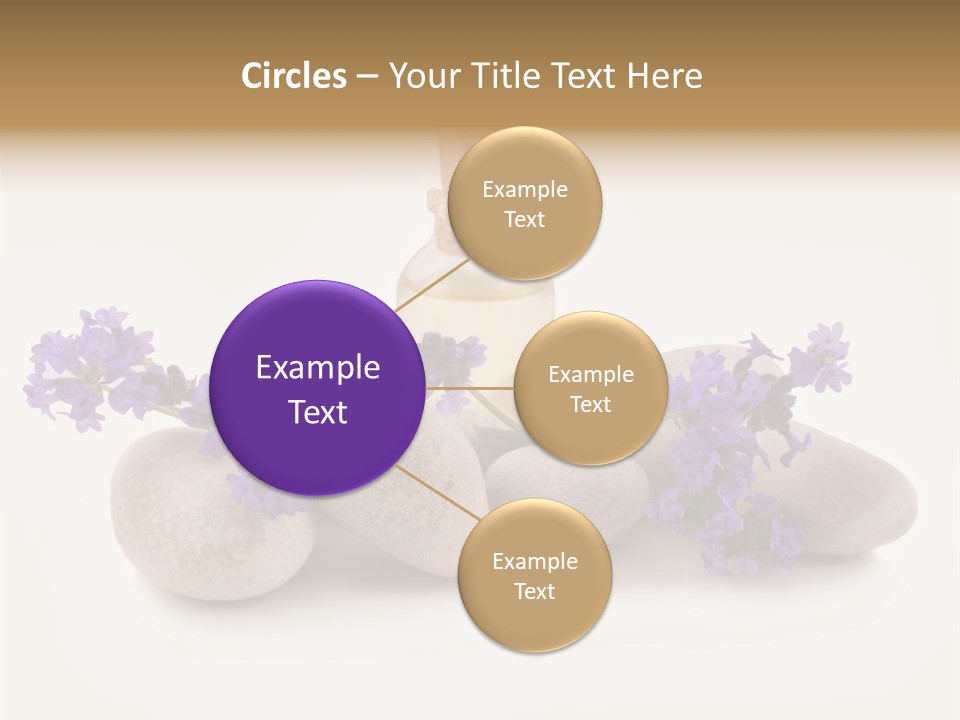 Closeup Beauty Object PowerPoint Template