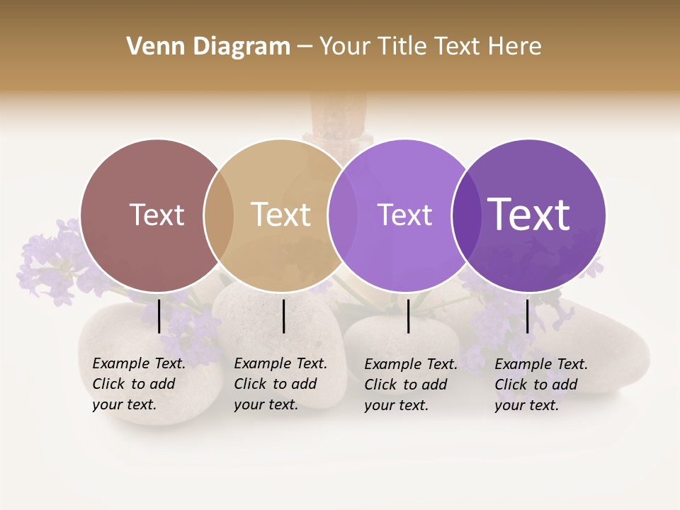 Closeup Beauty Object PowerPoint Template