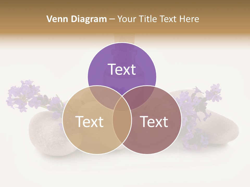 Closeup Beauty Object PowerPoint Template