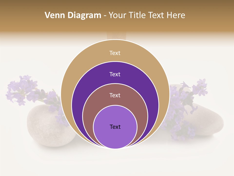 Closeup Beauty Object PowerPoint Template