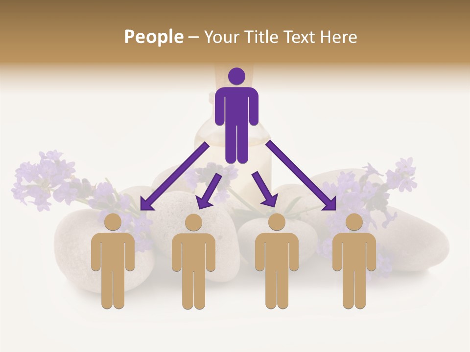 Closeup Beauty Object PowerPoint Template