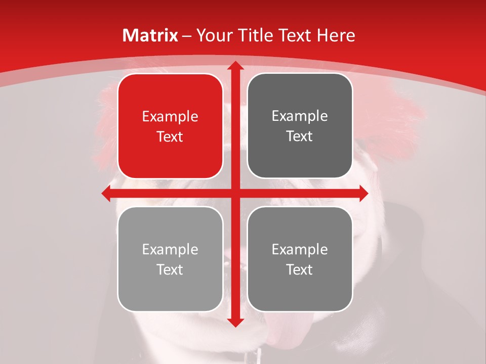 Silly Staring Bull PowerPoint Template