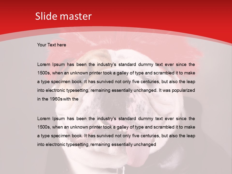 Silly Staring Bull PowerPoint Template