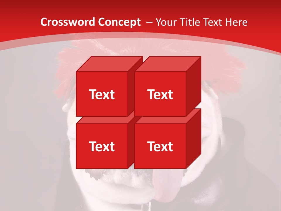 Silly Staring Bull PowerPoint Template