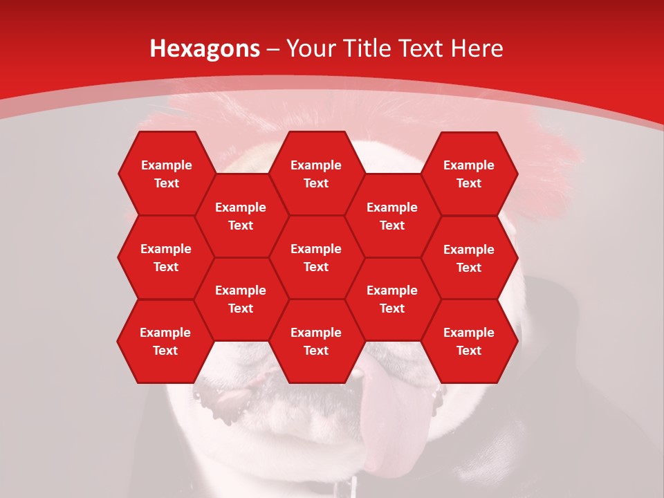 Silly Staring Bull PowerPoint Template