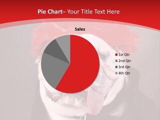 Silly Staring Bull PowerPoint Template