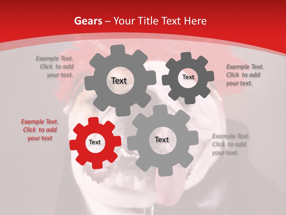 Silly Staring Bull PowerPoint Template