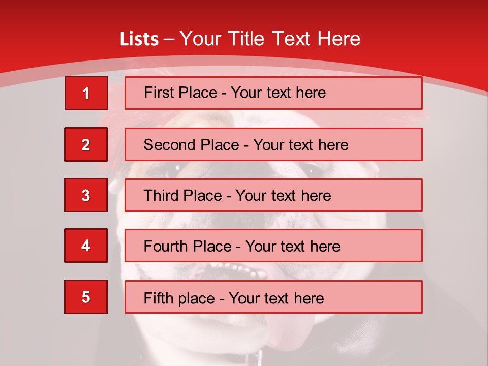 Silly Staring Bull PowerPoint Template
