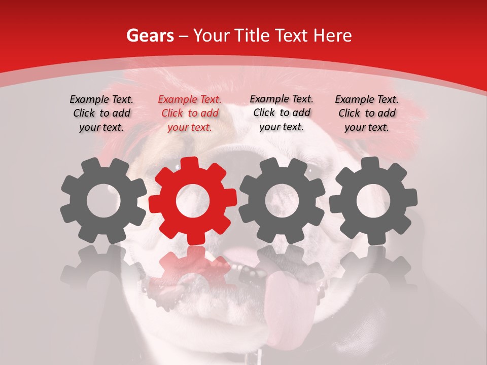 Silly Staring Bull PowerPoint Template