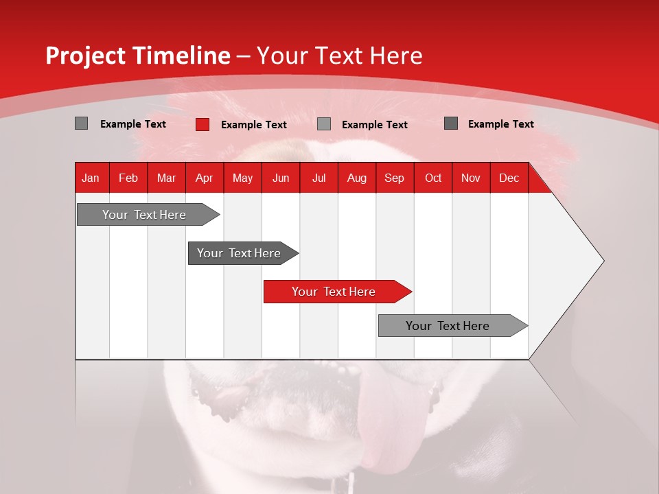 Silly Staring Bull PowerPoint Template