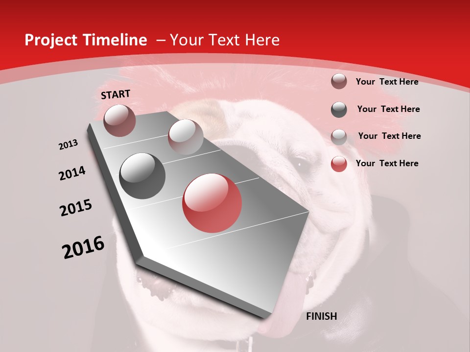 Silly Staring Bull PowerPoint Template