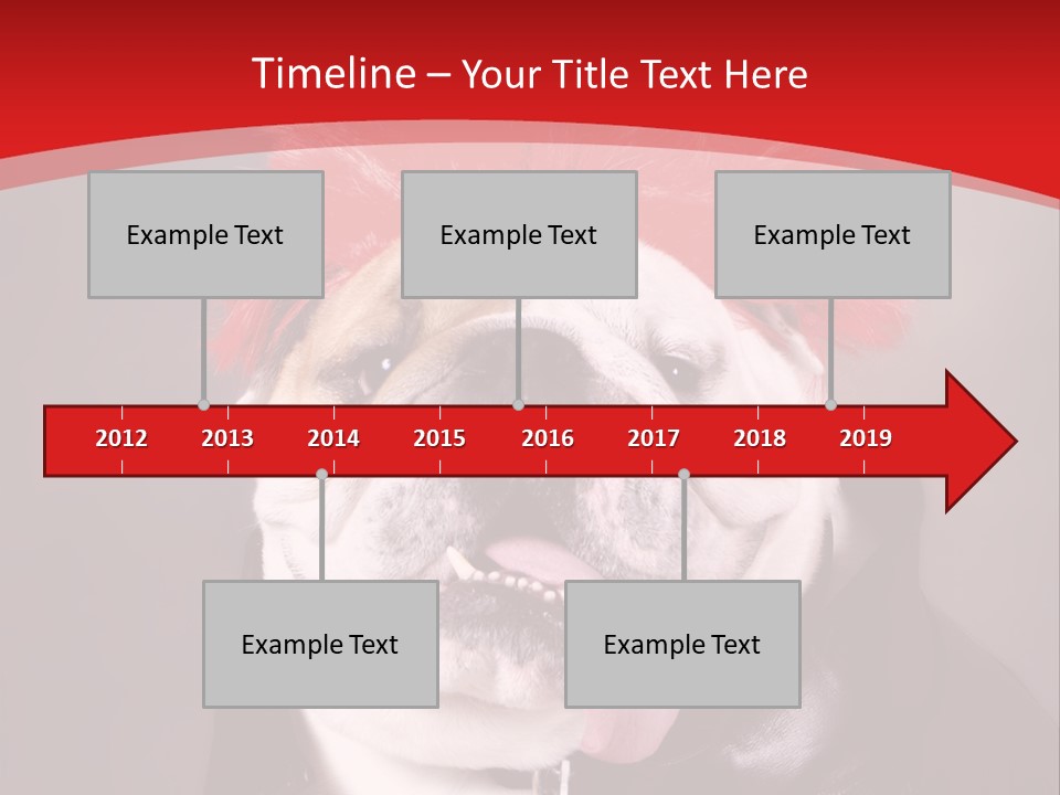 Silly Staring Bull PowerPoint Template