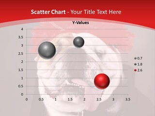 Silly Staring Bull PowerPoint Template