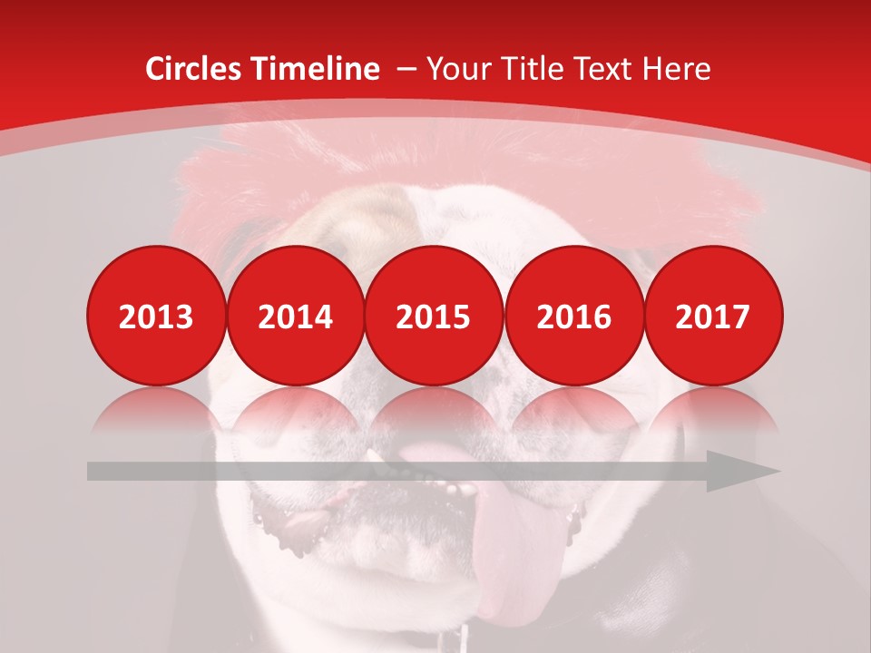 Silly Staring Bull PowerPoint Template