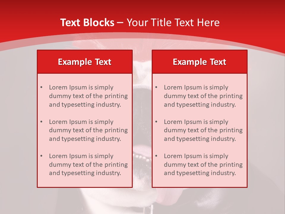 Silly Staring Bull PowerPoint Template